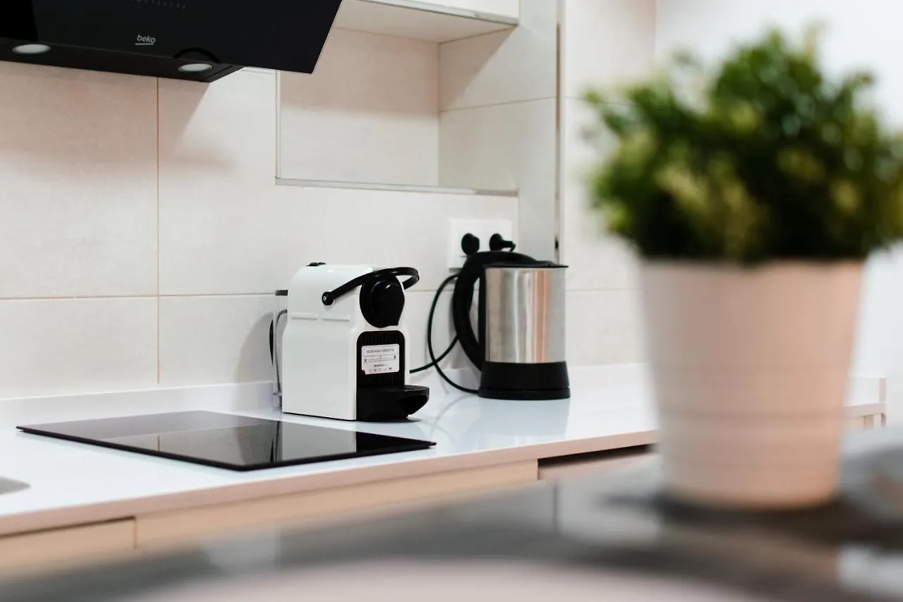 Larios Premium Apartments Malaga